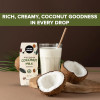 Urban Platter Unsweetened Coconut Milk|250 ml|8.45 fl oz [Fit Tuber Recs]