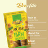 Tulsi Dry Figs Dried Anjeer Zaika | 500 gms | 17.64 oz [Fit Tuber Recs]