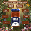 BEQVILLE HONEY Raw Organic Honey NMR Tested Forest Pure Natural Original Honey Unprocessed Raw Honey - 500gm Glass Jar