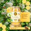 Shiva Organic Kashmiri Acacia Honey-250g |100% Raw and Pure|Natural and Original|No Added Sugar|Fresh Kashmir Honey|Unprocessed Honey
