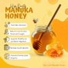 Pure Craft Manuka Honey, MGO 100+ and Kosher Certified | Pure Raw Organic Honey | BPA Free Jar from New Zealand, 500 Gram