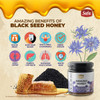 Safa Black Seed Honey Immune Booster Organic Honey Raw Unprocessed Natural Kalonji Honey Unheated With No Added Sugar|For Nurturing Growing Children & Adults Natural, Unpasteurized, 250G Glass Jar