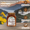 Uttarakhand Natural Products Mountain Honey 500gm - 100% Natural, Organic Wildflower Honey from the Devbhumi Uttrakhand Region, Rich in Flavor & Nutrients (1x500gm)