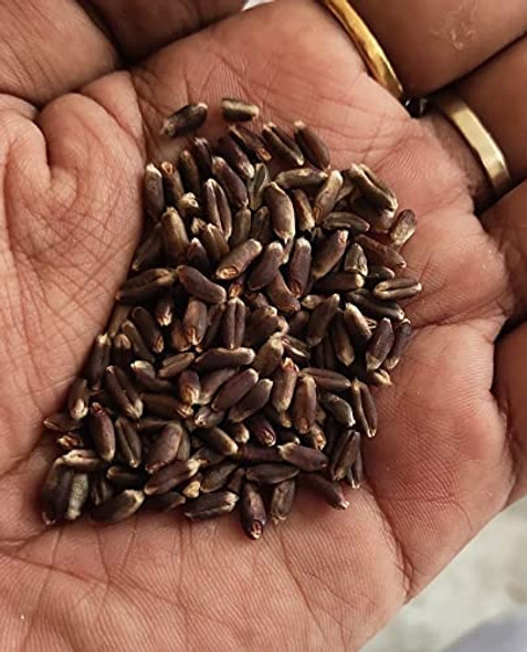 Organic Whole Grains