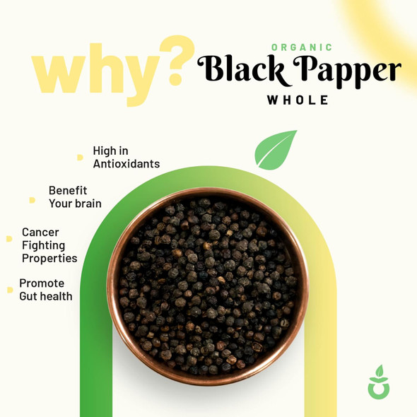 Pro Nature 100% Organic Black Pepper (Whole)|100gm|3.53 Oz