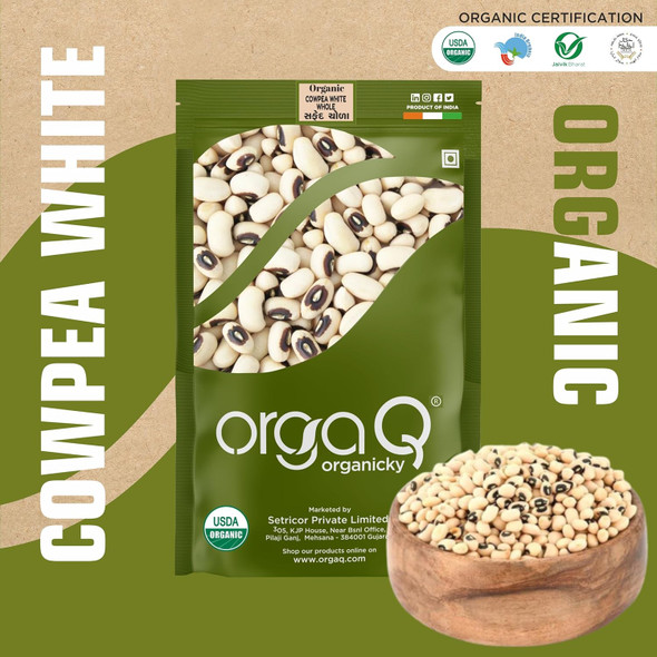 OrgaQ Organicky Organic Cowpea White/Lobia/Chola Whole Beans|500gm|1.22 lbs