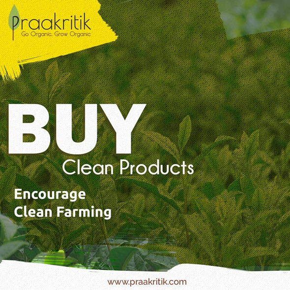 Praakritil Organic Fennel Seeds Saunf, Variyali|100gm|3.53 Oz