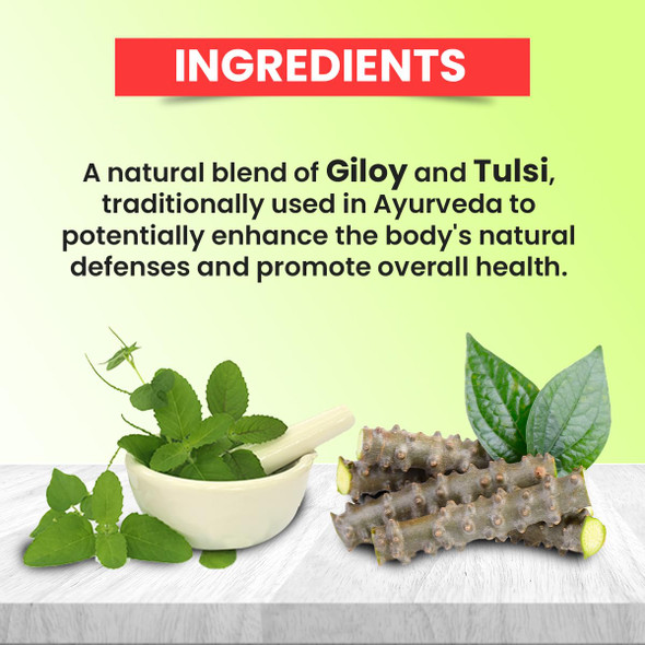 Baidyanath Giloy Tulsi Juice - Helps Boost Immunity, Stamina, Ayurvedic Detox Drink | No Preservatives Or Added Sugar| Herbal Juice (Pack of 2) | 2000ml | 67.63 fl oz [Fit Tuber Recs]