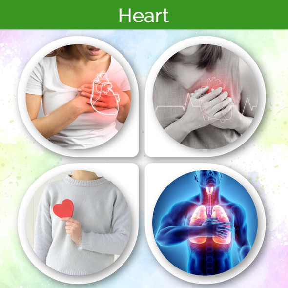 Arjun Chhal Powder for Drinking, Eating, Diabetes, Heart, Weight Loss, Hair Growth, Tea, Churna, Pure, Herbal, Organic, Skin, Face, Arjuna, Terminalia Arjuna, Bark Powder, Arjun Tree | 100Gm | 3.53 oz [Fit Tuber Recs]