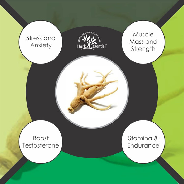 Herb Essential Pure Ashwagandha Powder | 400 g | 14.11 oz [Fit Tuber Recs]