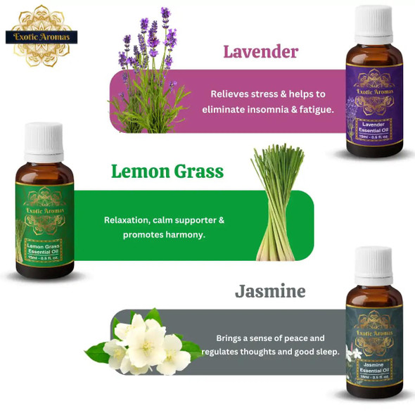 Exotic Aromas Essential Oil Lavender Rose Rosemary Orange Jasmine YlangYlang Tea Tree Eucalyptus Lemongrass Peppermint Lemon Citronella Pack of 12 [Fit Tuber Recs]