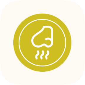 Fabessentials Orange Basil Organic Handmade Bathing Soap|100 g