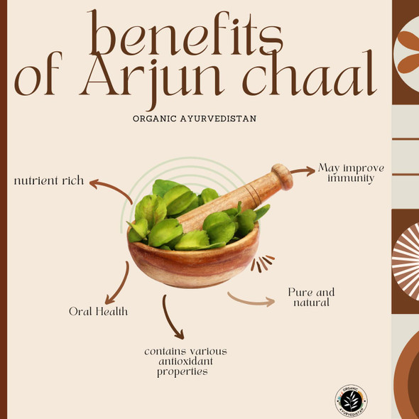ORGANIC AYURVEDISTAN Arjun Chaal Powder|400 g