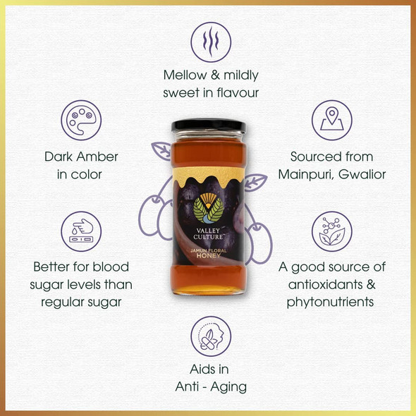 Valley Culture Himalayan Jamun Floral Honey Organic, Raw, Unpasteurized & Unprocessed Organic Honey without Sugar from Manpuri, Gwalior, Anti-Oxidant & Fruity Flavored Pure Honey 500G -Pack of 1