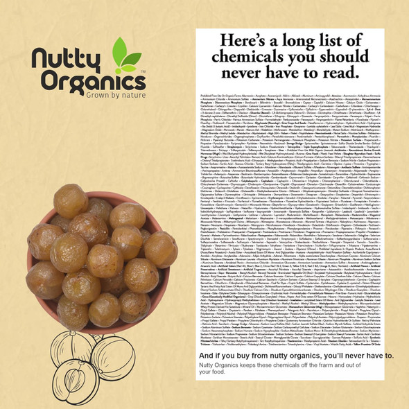 NUTTY ORGANICS Dried Amla Murabba 500 GM | Vitamin C Rich Digestive Treat | Healthy & Natural Sweet Snack | Immunity Booster