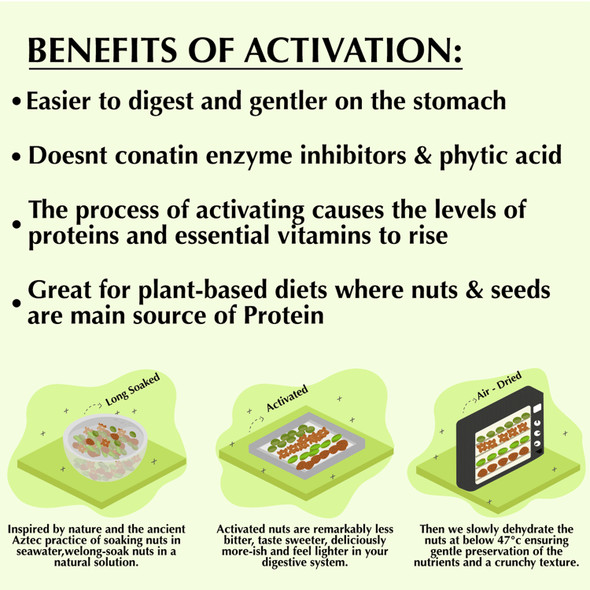 Activated  Almonds - Mildly Salted (100% Fresh & Natural, Long Soaked & Air Dried to Crunchy Perfection)  | By D-Alive | For USA | 5.29 Oz | 0.33 lbs