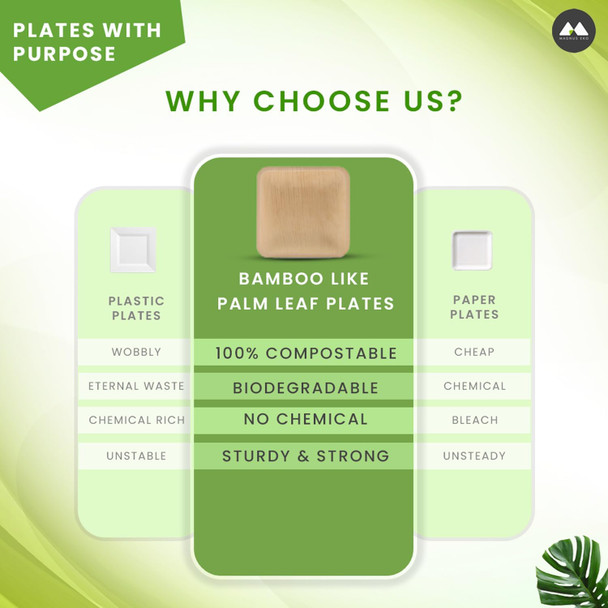 Magnus Disposable Plates|2 kg 170 g|5.27 lbs