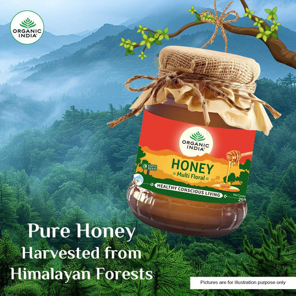 Organic India Himalayan Multi Floral Honey|250gm|8.82 Oz