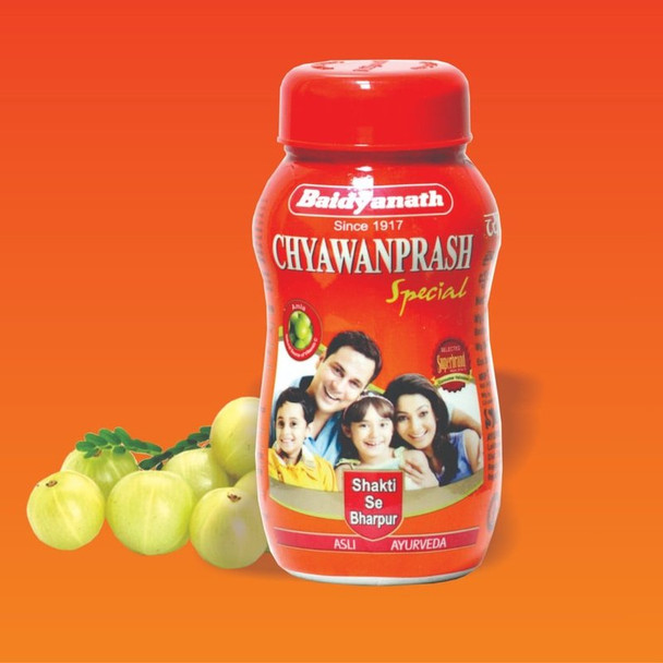 Baidyanath Special Chyawanprash | 500 g | 17.64 oz [Fit Tuber Recs]