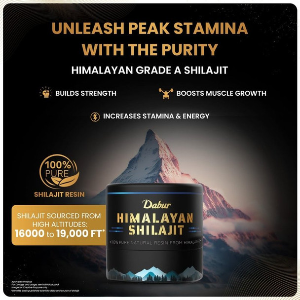 Dabur Himalayan Shilajit|15 g|0.53 oz [Fit Tuber Recs]