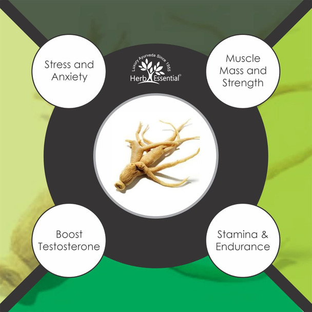 Herb Essential Pure Ashwagandha Powder | 400 g | 14.11 oz [Fit Tuber Recs]