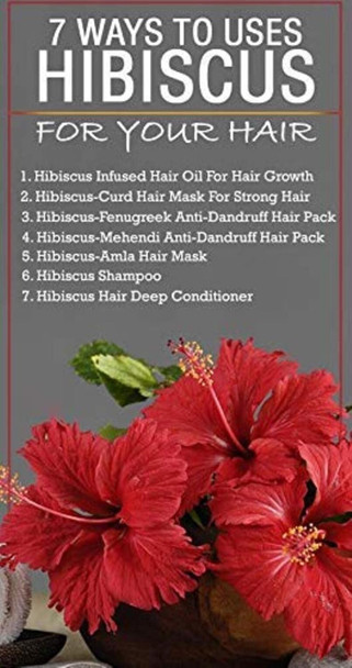 Online Quality Store Dry Hibiscus Flowers|Hibiscus Sabdariffa|Rosa Sinensis|Gudhal Ke Phool | 200g | 7.05 oz [Fit Tuber Recs]