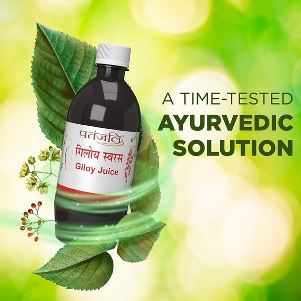 Patanjali Giloy Herbal Juice|500 ml|16.91 fl oz [Fit Tuber Recs]