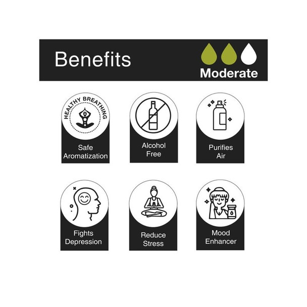 Soulflower Aromatherapy Reed Diffuser Set (Soul Green)|1 pack (8 pieces)|1 pack (8 pieces) [Fit Tuber Recs]