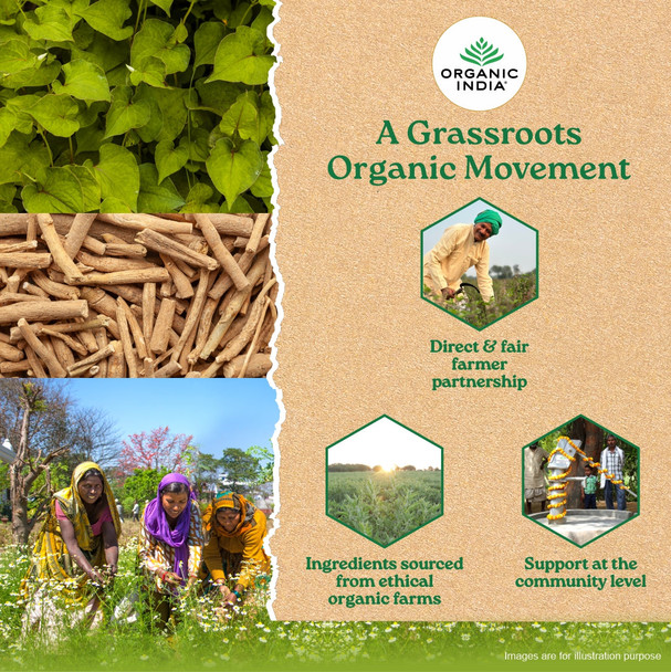 Organic India Flexibility Capsules|180 caps