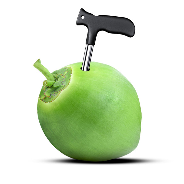 Organic Mandya Tender coconut opener|1 piece