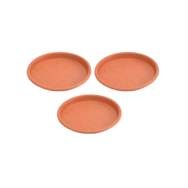 TRUEFARM Organic Chia Seeds|250 g