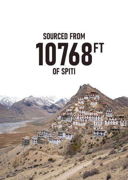 The Healing Himalayas Raw Wild Forest Honey, 100% Pure, Organic & Unprocessed Virgin Himalayan Honey, 250g