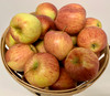 Cameo Apples- 1/2 Bushel