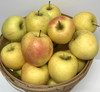 Golden Delicious Apples- 1 Peck