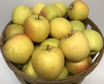 Golden Delicious Apples- 1/2 Bushel