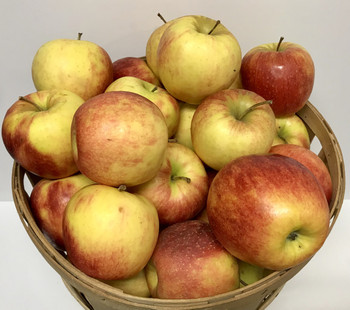 Jonagold Apples- 1/2 Bushel