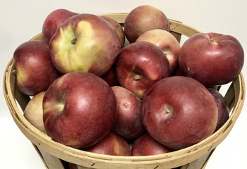 McIntosh Apples- 1/2 Bushel