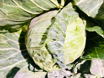 Local Cabbage 