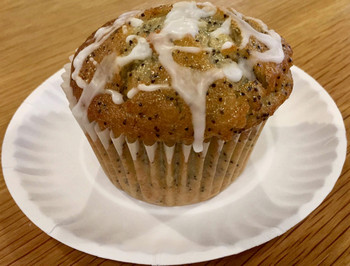 Muffin- Lemon Poppy 