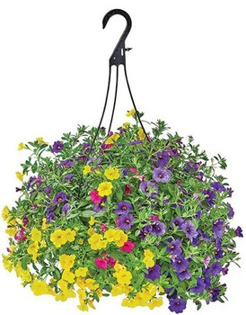 Locally-grown, Planter & Hanging Basket