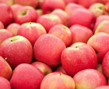 Pink Lady Apples- 1/2 Bushel