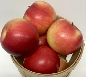 Ida Red Apples- 1/4 Peck