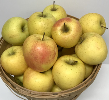 Golden Delicious Apples- 1 Peck