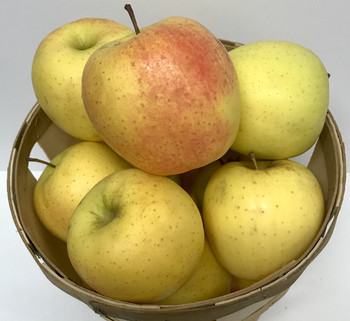 Golden Delicious Apples- 1/2 Peck
