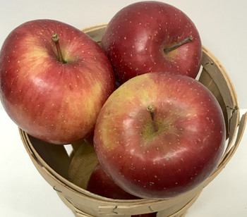 Fuji Apples- 1/4 Peck