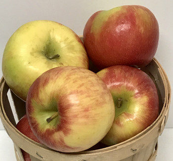 Honey Crisp Apples- 1/4 Peck