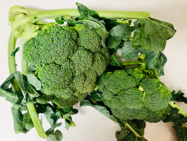  Fresh Local Broccoli