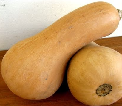 Butternut Squash