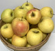 Golden Delicious Apples- 1 Peck