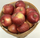 Fuji Apples- 1 Peck